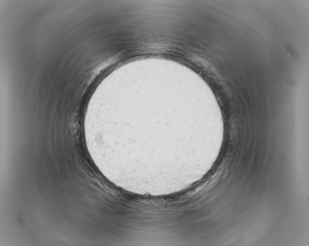 X0000110881210200907301427