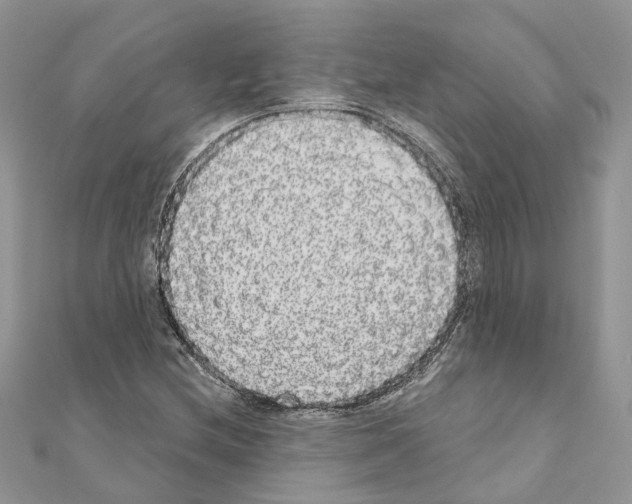 X0000110881212200907301427