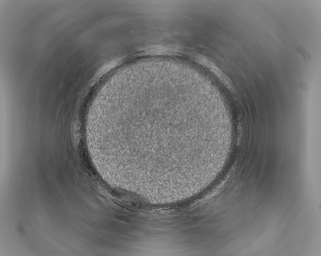 X0000110881213200907301427