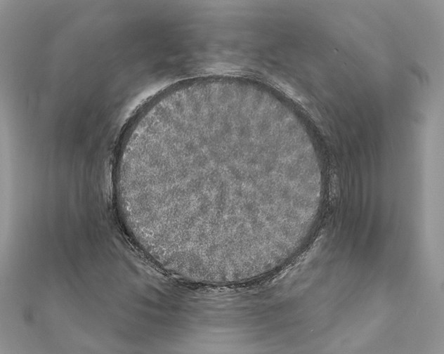 X0000110881214200907301427