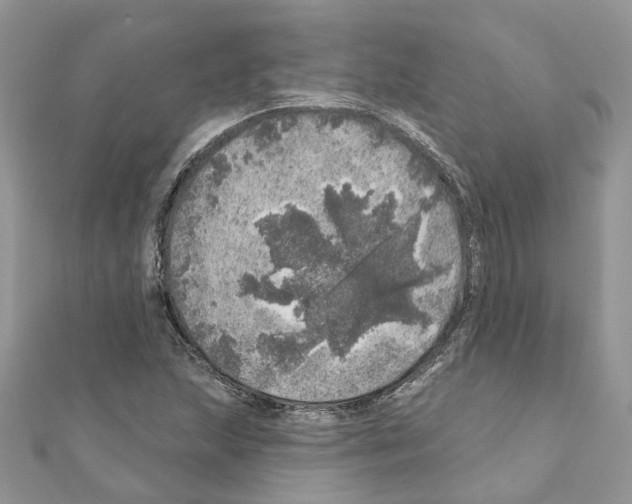 X0000110881215200907301427