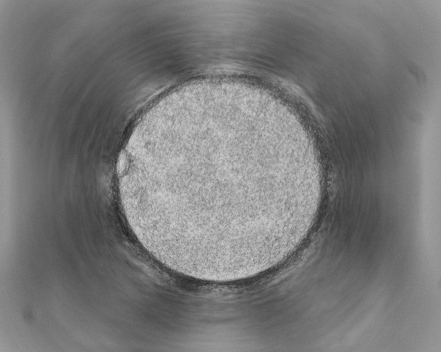 X0000110881217200907301427