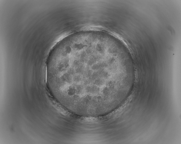 X0000110881219200907301427