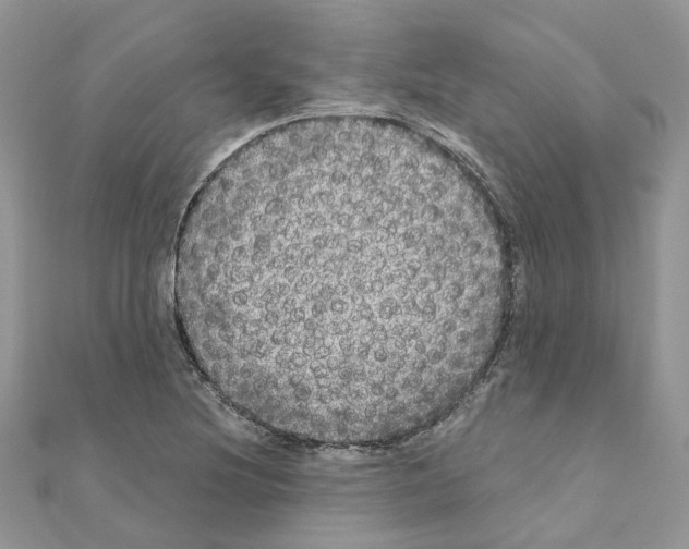 X0000110881220200907301427