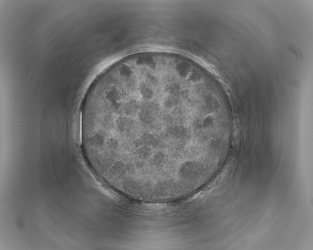 X0000110881223200907301427