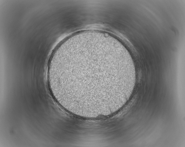 X0000110881224200907301427