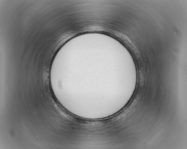 X0000110881225200907301427