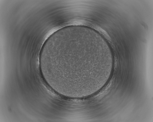 X0000110881226200907301427