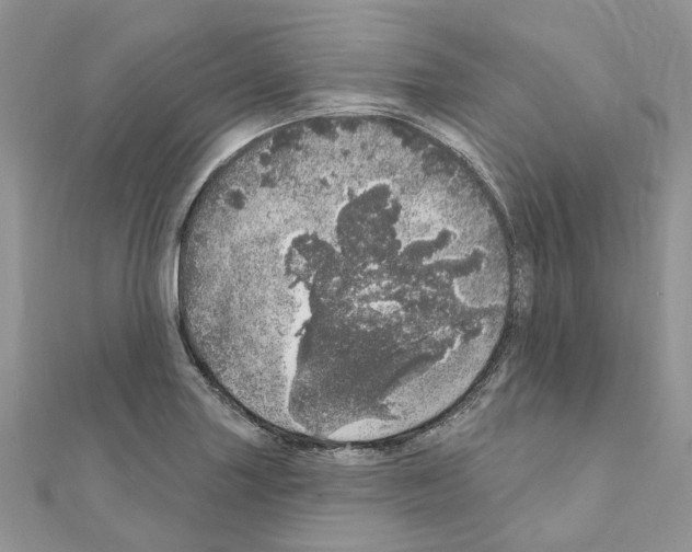 X0000110881227200907301427