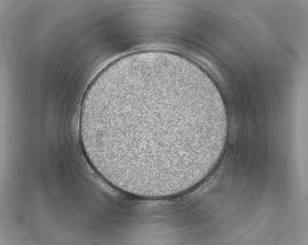 X0000110881228200907301427