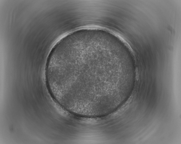 X0000110881229200907301427