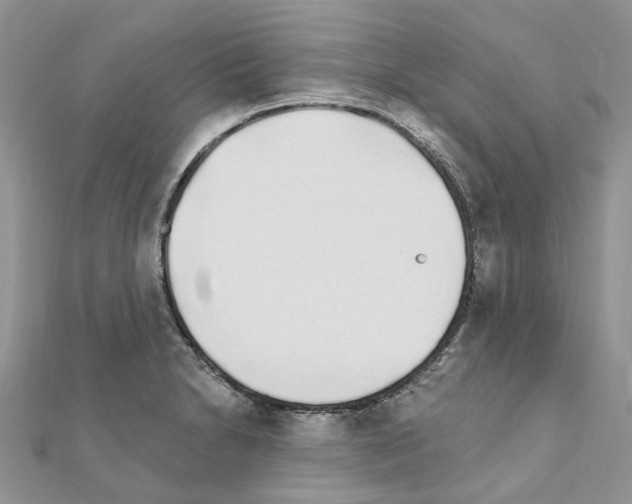 X0000110881230200907301427