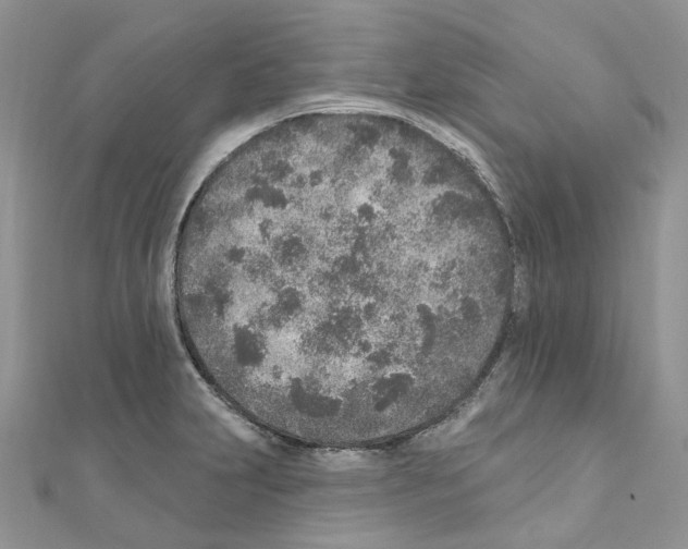 X0000110881231200907301427