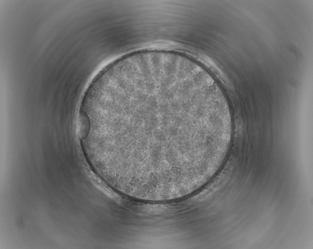 X0000110881232200907301427