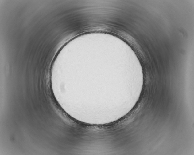 X0000110881234200907301427