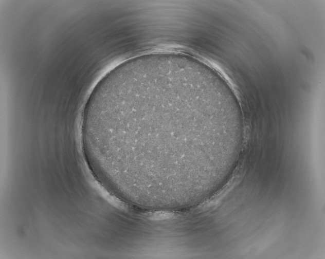 X0000110881235200907301427