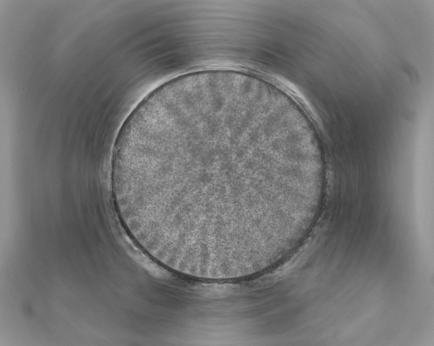 X0000110881236200907301427