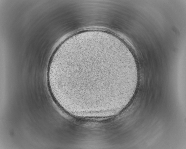 X0000110881237200907301427