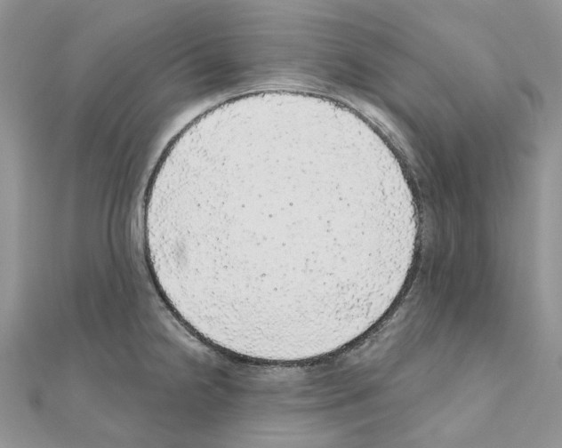 X0000110881238200907301427