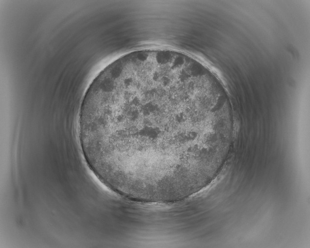 X0000110881239200907301427