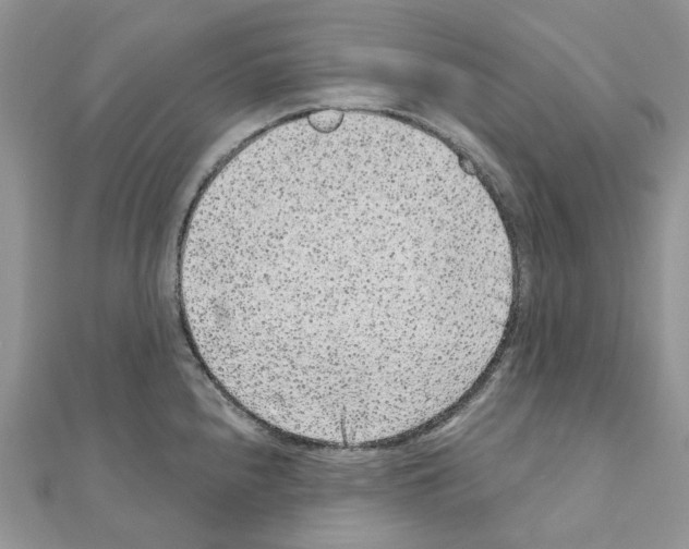 X0000110881240200907301427