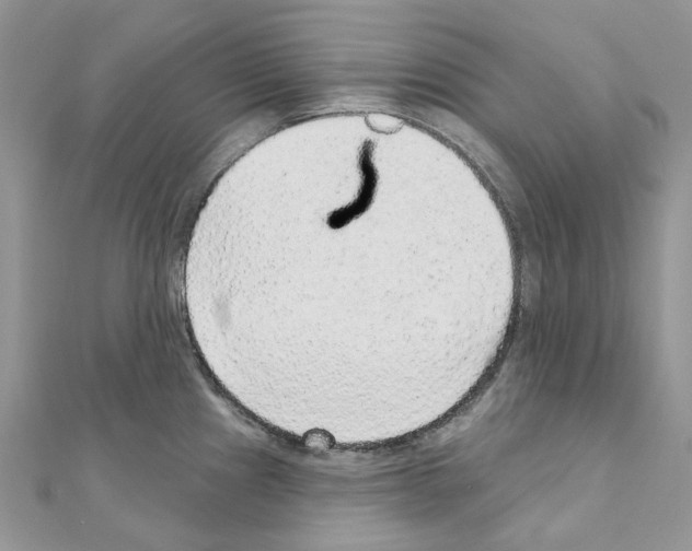 X0000110881241200907301427