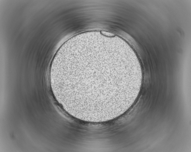 X0000110881242200907301427