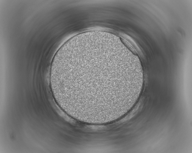 X0000110881244200907301427