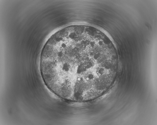 X0000110881245200907301427