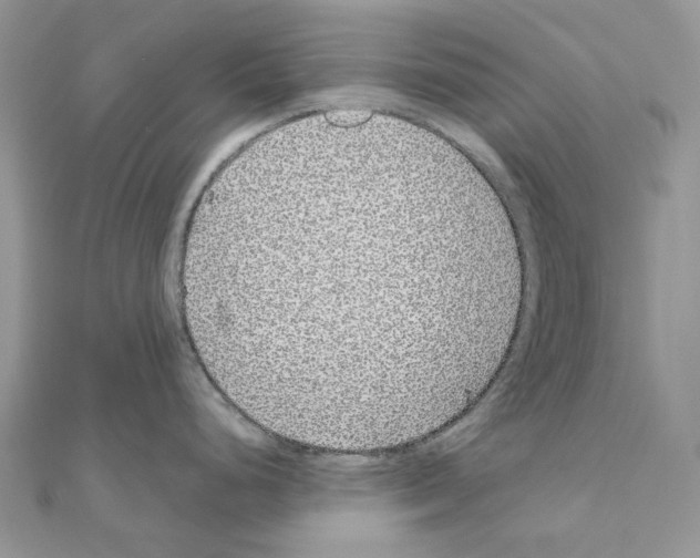 X0000110881248200907301427