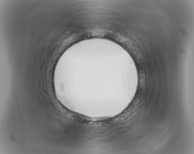 X0000110881249200907301427