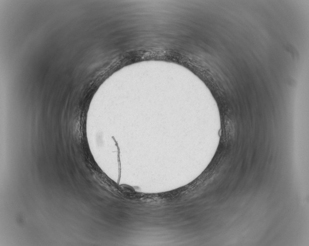 X0000110881250200907301427