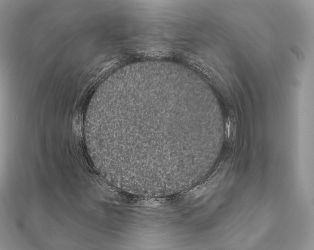 X0000110881251200907301427