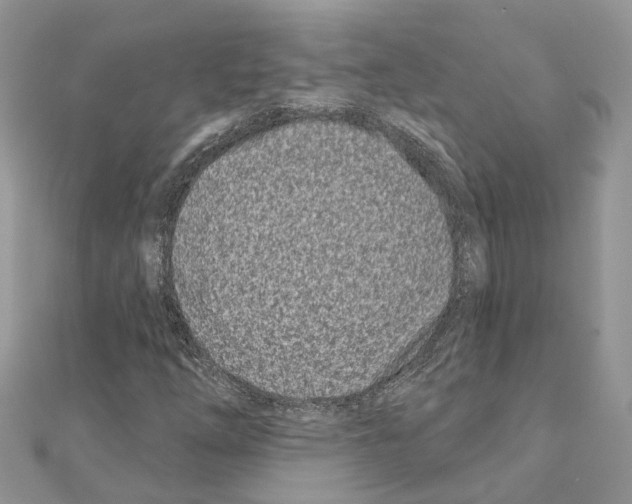 X0000110881254200907301426