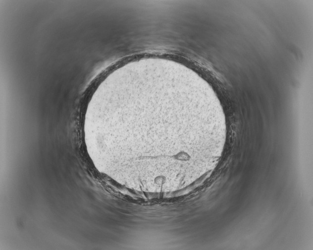 X0000110881256200907301426