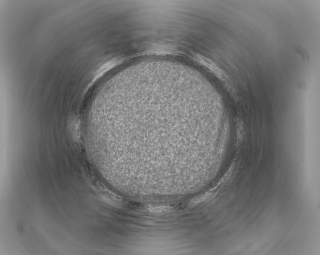 X0000110881258200907301426