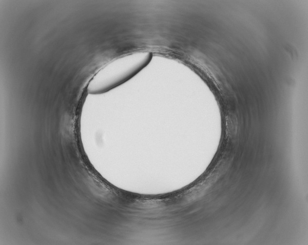 X0000110881260200907301426