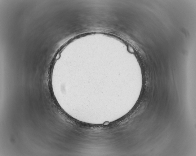 X0000110881264200907301426