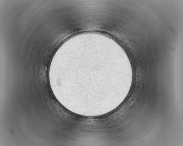 X0000110881265200907301426