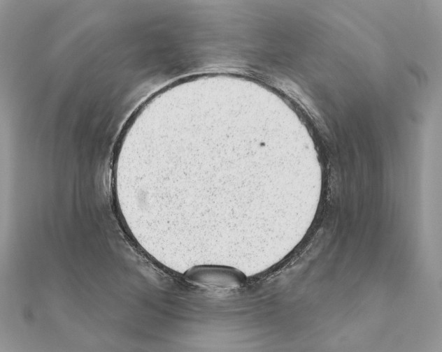 X0000110881268200907301426