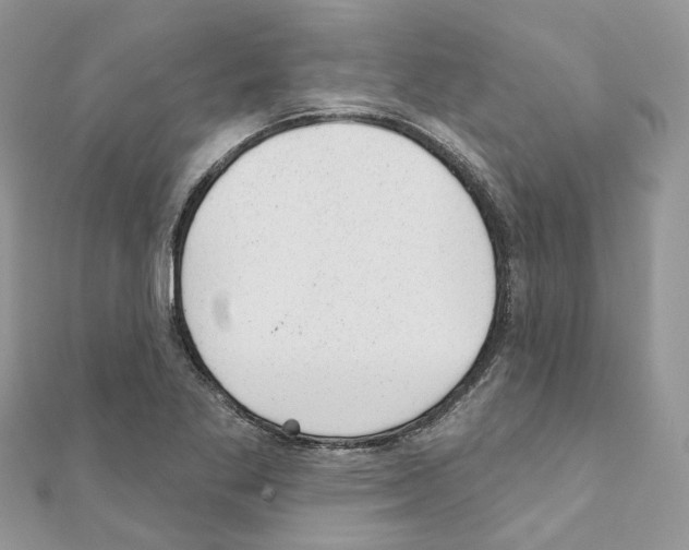 X0000110881269200907301426