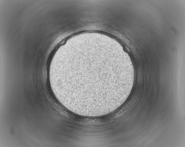 X0000110881270200907301426