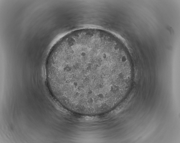 X0000110881271200907301426