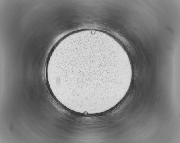 X0000110881272200907301426