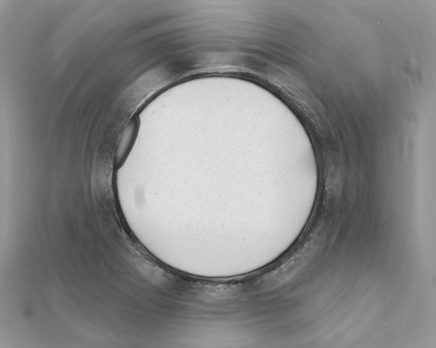 X0000110881273200907301426