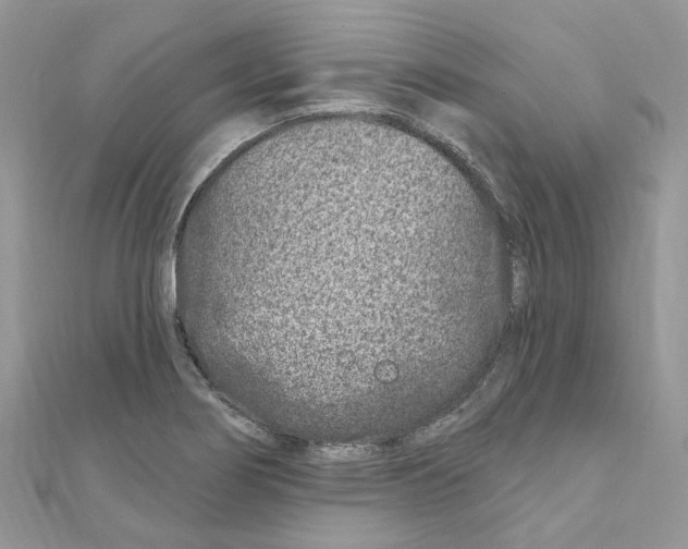 X0000110881274200907301426