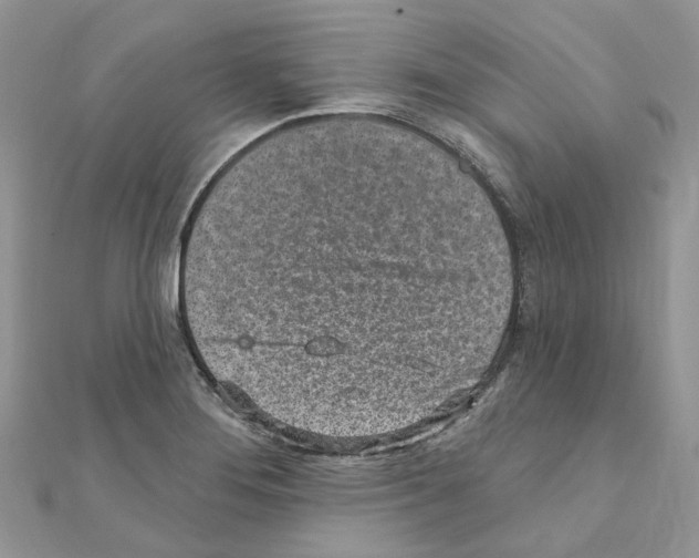 X0000110881276200907301426