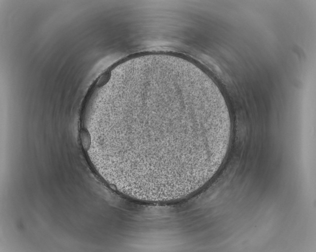 X0000110881277200907301426