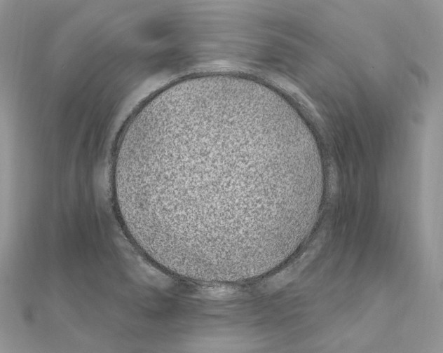 X0000110881278200907301426