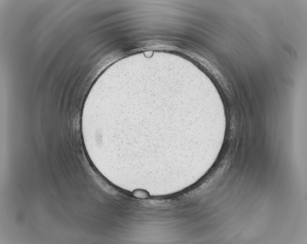 X0000110881281200907301426